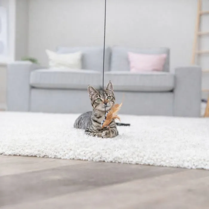 Іграшка для котів Trixie Вудочка з серцем та м'ятою 50 см (4011905829326) зображення 3