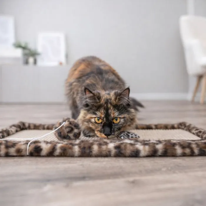 Іграшка для котів Trixie Вудочка з серцем та м'ятою 50 см (4011905829326) зображення 4
