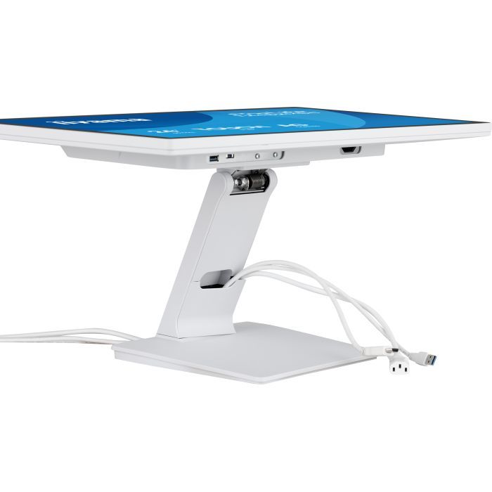 Монитор iiyama T2452MSC-W2AG изображение 11