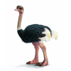 Фігурка Schleich Страус (14325)