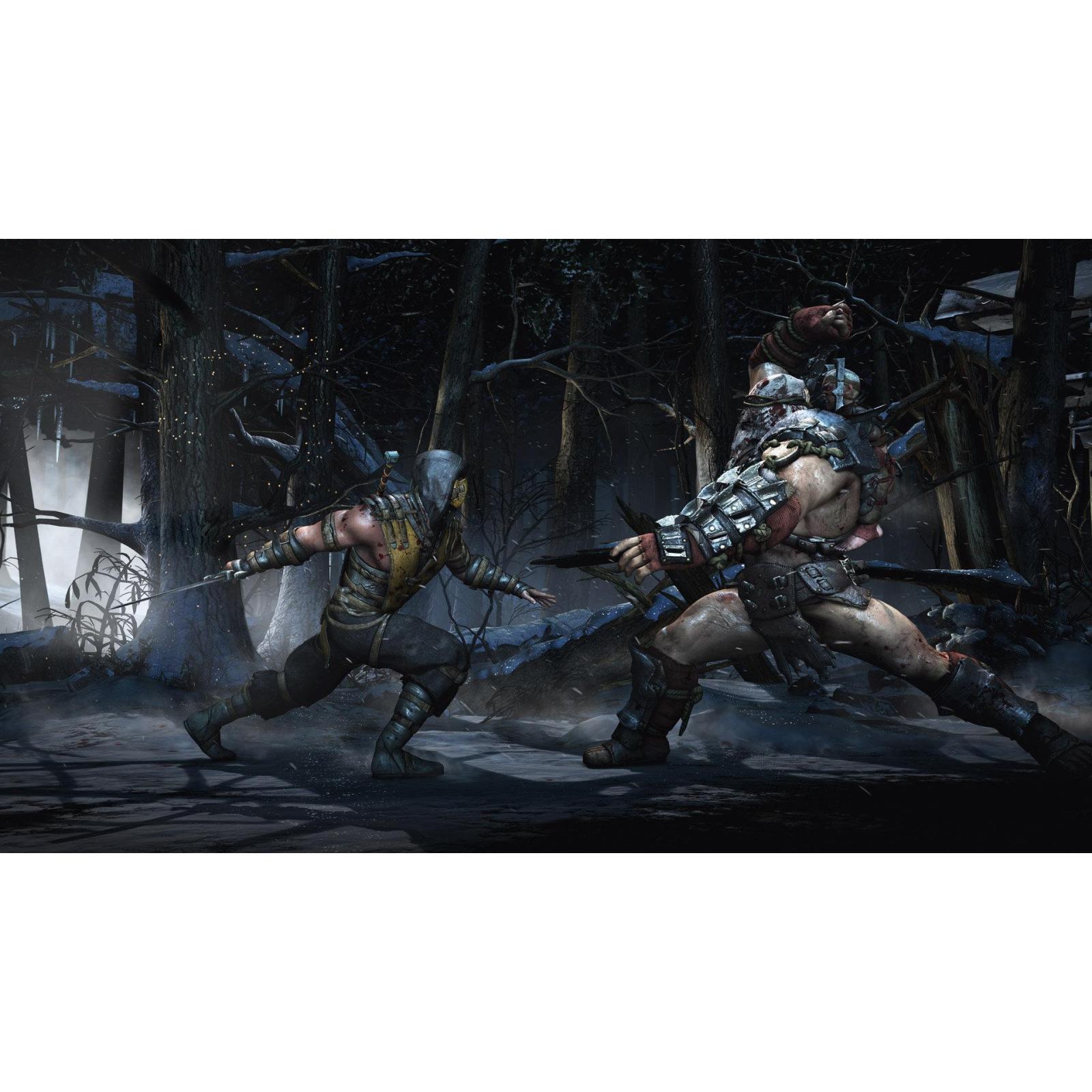 Игра Sony Mortal Kombat X (Хиты PlayStation) [Blu-Ray диск] (PSIV733) изображение 5