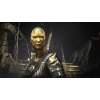 Игра Sony Mortal Kombat X (Хиты PlayStation) [Blu-Ray диск] (PSIV733) изображение 7