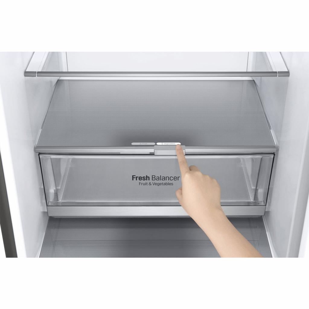 Холодильник LG GW-B509SMDZ изображение 11
