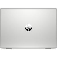 Ноутбук HP Probook 450 G6 (6MQ73EA) изображение 5