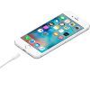 Дата кабель Lightning to USB Cable, Model A1480, 1m Apple (MXLY2ZM/A) изображение 4