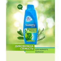 Шампунь Shamtu Глубокое Очищение и Свежесть 600 мл (4015100195767) изображение 4