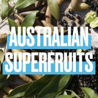 Шампунь Aussie SOS Save My Lengths! для пошкодженого волосся 290 мл (8006540004548) зображення 2