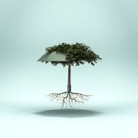 Зонт Knirps Vision Duomatic Terra (Kn95 6205 4908) изображение 2