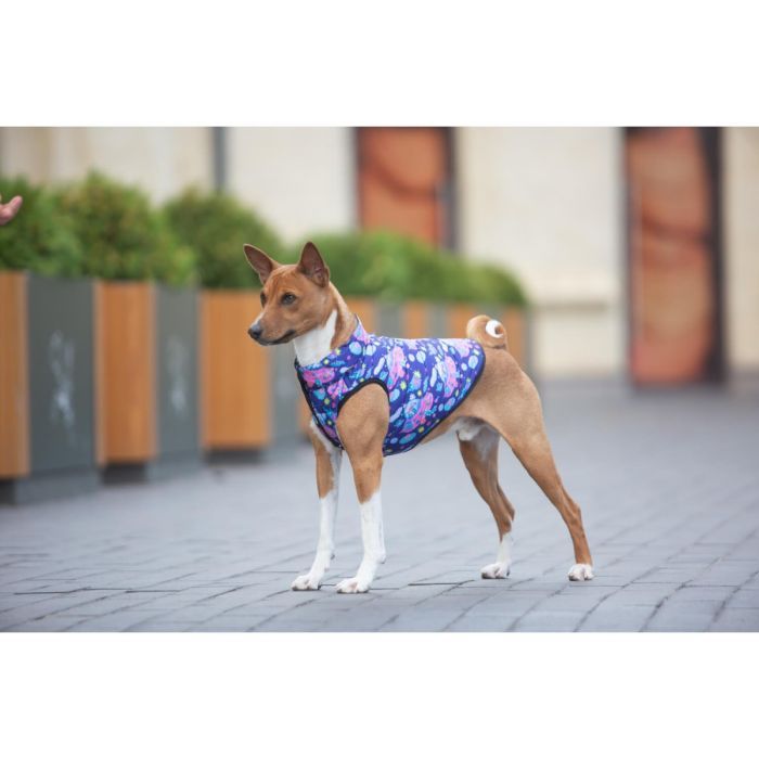 Курточка для животных WAUDOG Clothes "Рик и Морти 1" XS30 (0930-0280) изображение 2