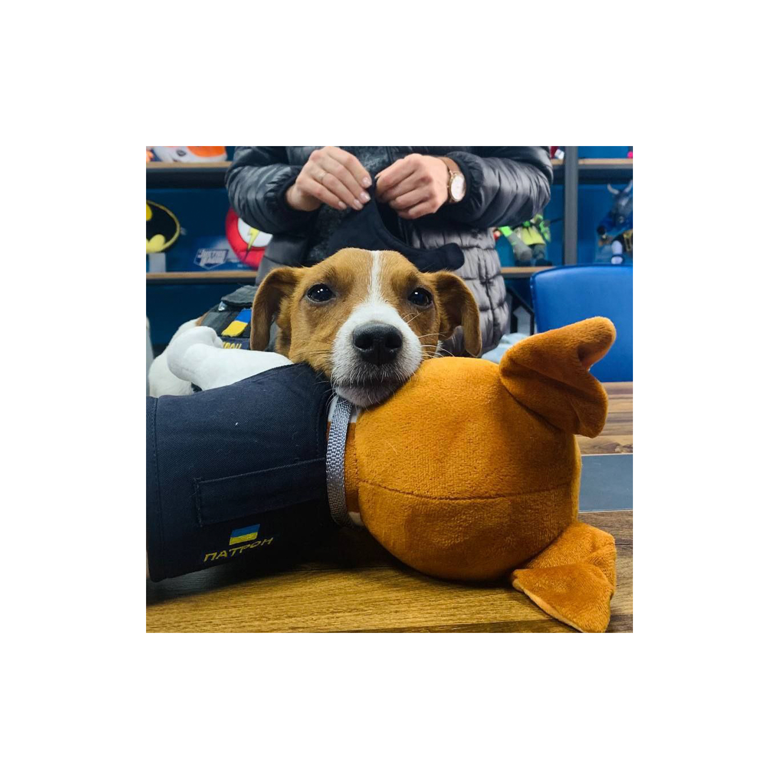 М'яка іграшка WP Merchandise пес Патрон (FWPATRONPL22WTBN1) зображення 11