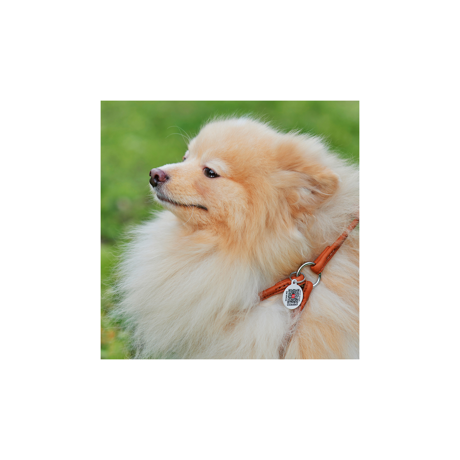 Шлей для собак WAUDOG Soft с QR паспортом круглая Д 6 мм А 26-46 см В 30-50 см черная (46231) изображение 4