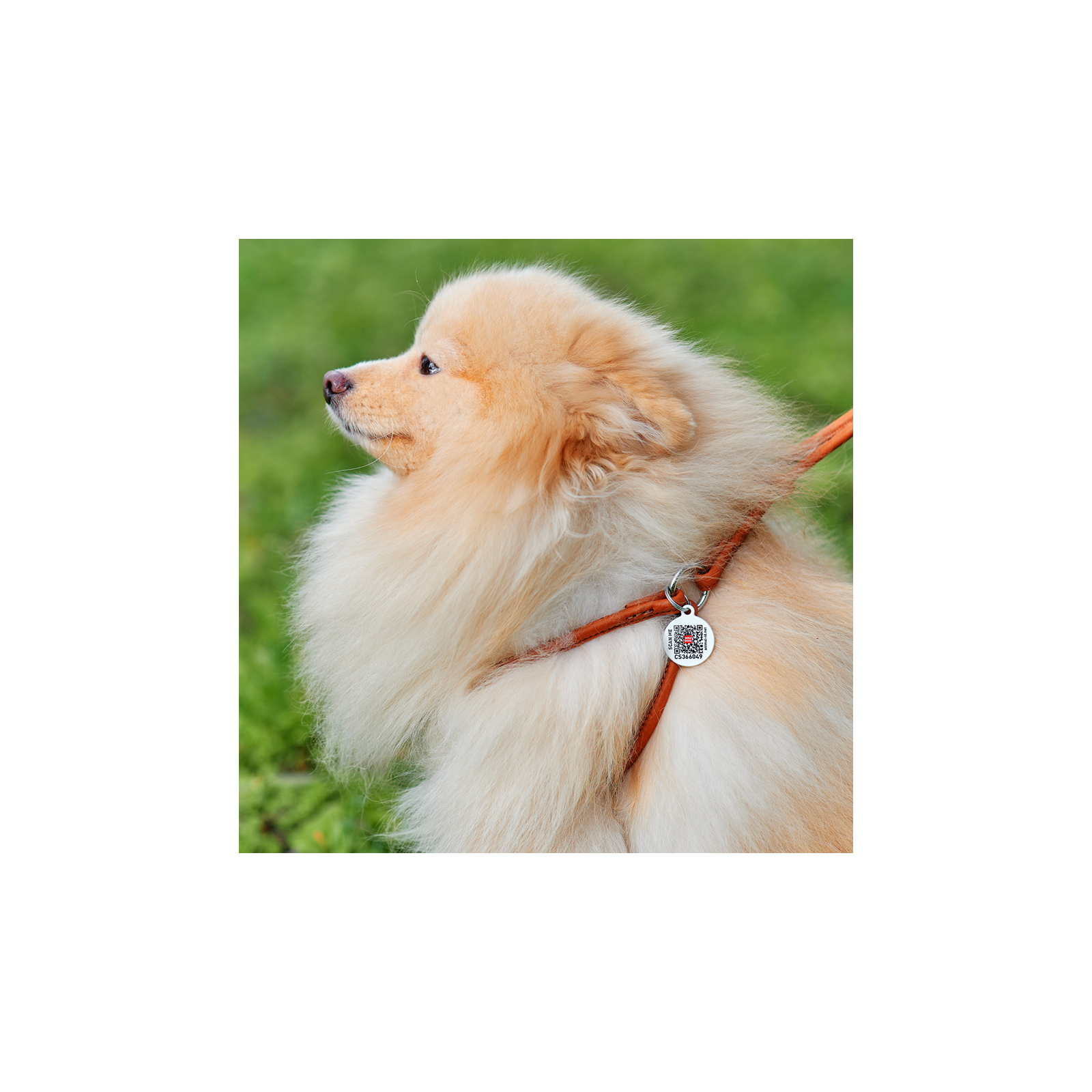 Шлей для собак WAUDOG Soft с QR паспортом круглая Д 6 мм А 26-46 см В 30-50 см черная (46231) изображение 5