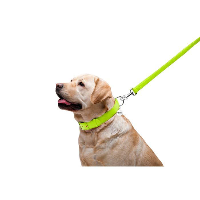 Повідець для собак WAUDOG Glamour шкіряний M-XXL червоний (33763) зображення 5