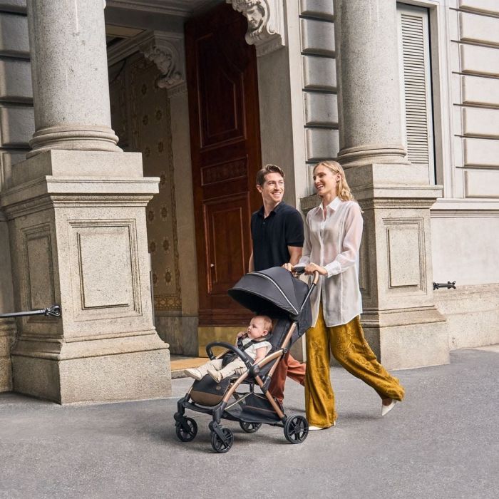 Коляска Chicco Goody Primo 8058664175871 (87069.72) изображение 6