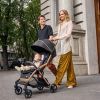 Коляска Chicco Goody Primo 8058664175871 (87069.72) изображение 9