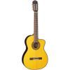 Гітара класична Takamine GC5CE NAT (221976)