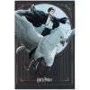 Блокнот Kite Harry Potter A5, 50 листов, клетка (HP25-194-2)
