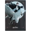 Блокнот Kite Harry Potter A5, 50 листов, клетка (HP25-194-2)