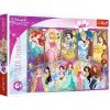 Пазл Trefl Princess Портреты принцесс 160 элементов (5900511154078)