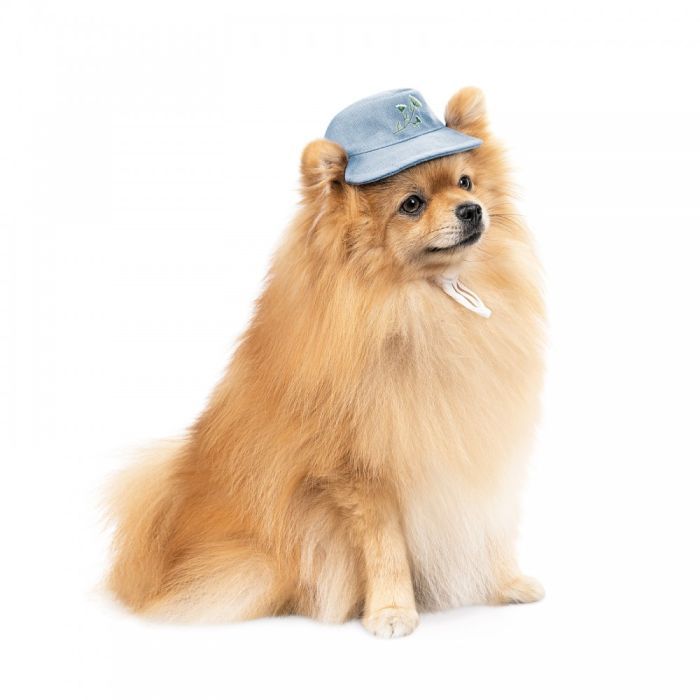 Кепка для животных Pet Fashion Blue XS с цветочным принтом (4823082434220) изображение 2