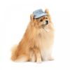 Кепка для животных Pet Fashion Blue XS с цветочным принтом (4823082434220) изображение 2
