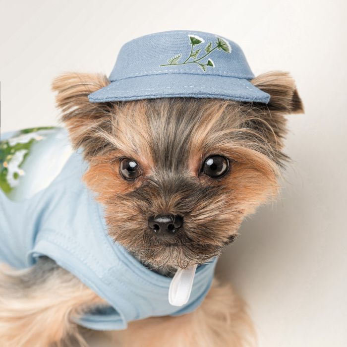 Кепка для животных Pet Fashion Blue XS с цветочным принтом (4823082434220) изображение 4