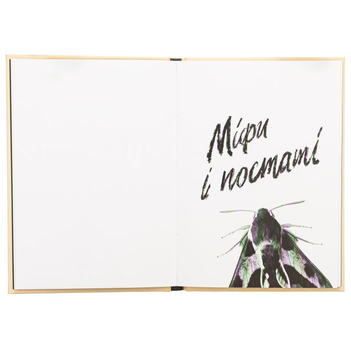 Книга Сили безплотні, людські й безпілотні - Ганна Яновська Жорж (9786178023898) зображення 3