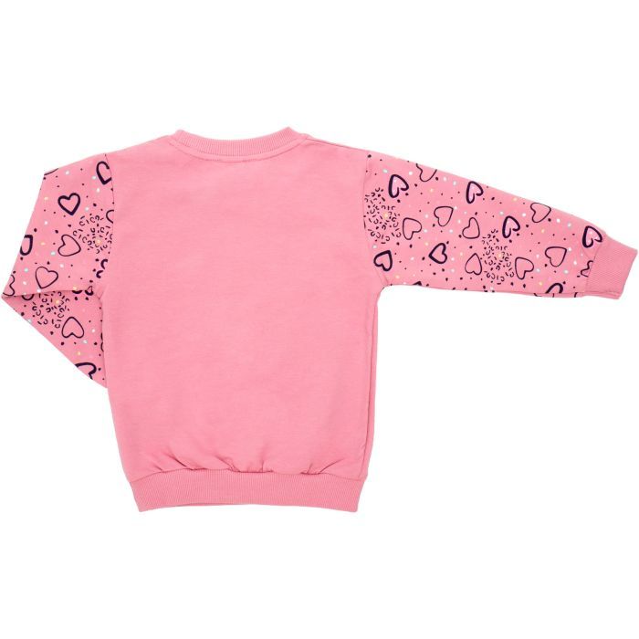 Спортивный костюм детский Breeze с бабочкой (22103-116G-pink) изображение 4