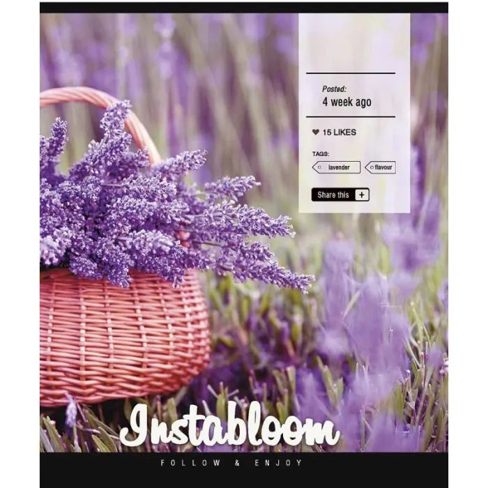 Зошит Школярик Star Instalife 96 аркушів клітинка (096-3389K) зображення 3