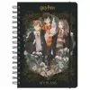 Еженедельник Kite детский на спирали Harry Potter, твердая обложка (HP23-438)