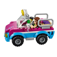 Конструктор LEGO Friends Звездное небо Оливии (41116) изображение 4