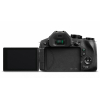 Цифровий фотоапарат Panasonic DMC-FZ300 (DMC-FZ300EEK) зображення 11
