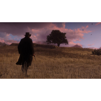 Игра Sony Red Dead Redemption 2 [Blu-Ray диск] PS4 Russian subtitles (5026555423175) изображение 7