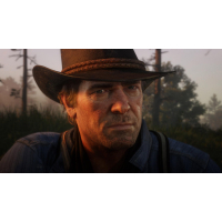 Игра Sony Red Dead Redemption 2 [Blu-Ray диск] PS4 Russian subtitles (5026555423175) изображение 8