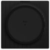 Усилитель Sonos Amp Black (AMPG1EU1BLK) изображение 5