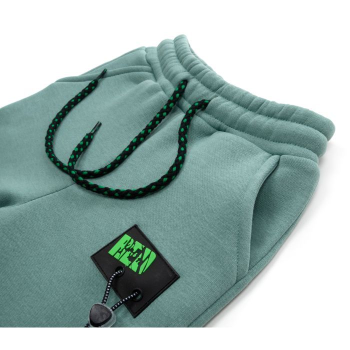 Штани дитячі Cloise спортивні на флісі (CL0154012-116-mint) зображення 3