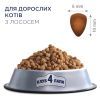 Сухой корм для кошек Club 4 Paws Премиум. С лососем 300 г (4820083909221) изображение 3