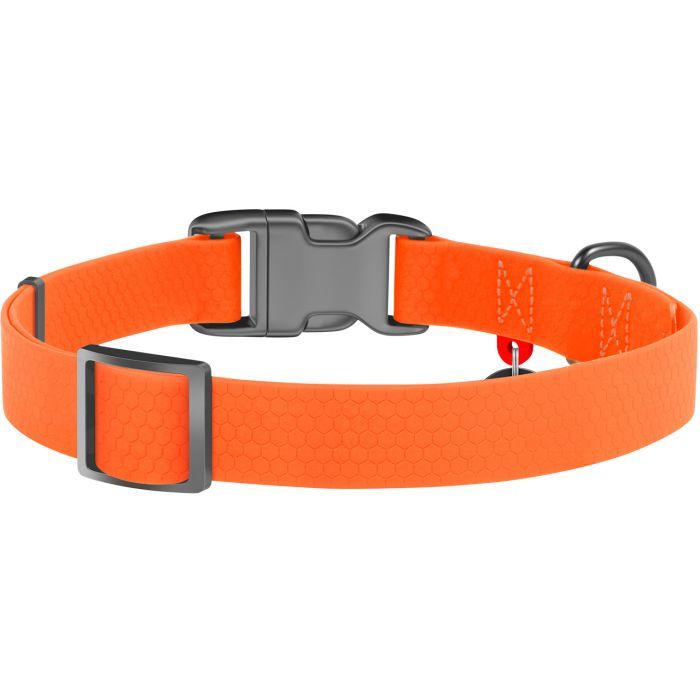 Ошейник для животных WAUDOG Waterproof с QR паспортом Ш 20 мм Д 28-40 см голубой (27452) изображение 2