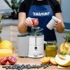 Соковижималка Zelmer ZJE3800 зображення 7