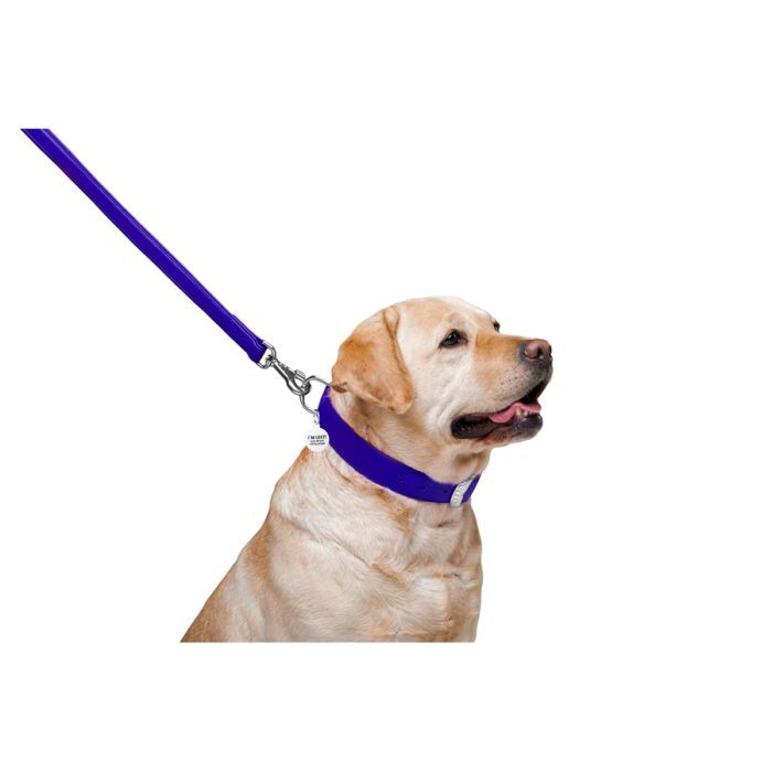 Повідець для собак WAUDOG Glamour шкіряний M-XXL червоний (33763) зображення 4