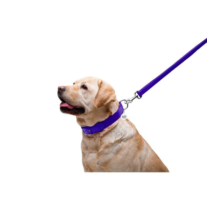 Повідець для собак WAUDOG Glamour шкіряний M-XXL червоний (33763) зображення 5