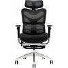 Офісне крісло GT Racer X-702L Black (X-702L Black (W-21 B-41)) зображення 2