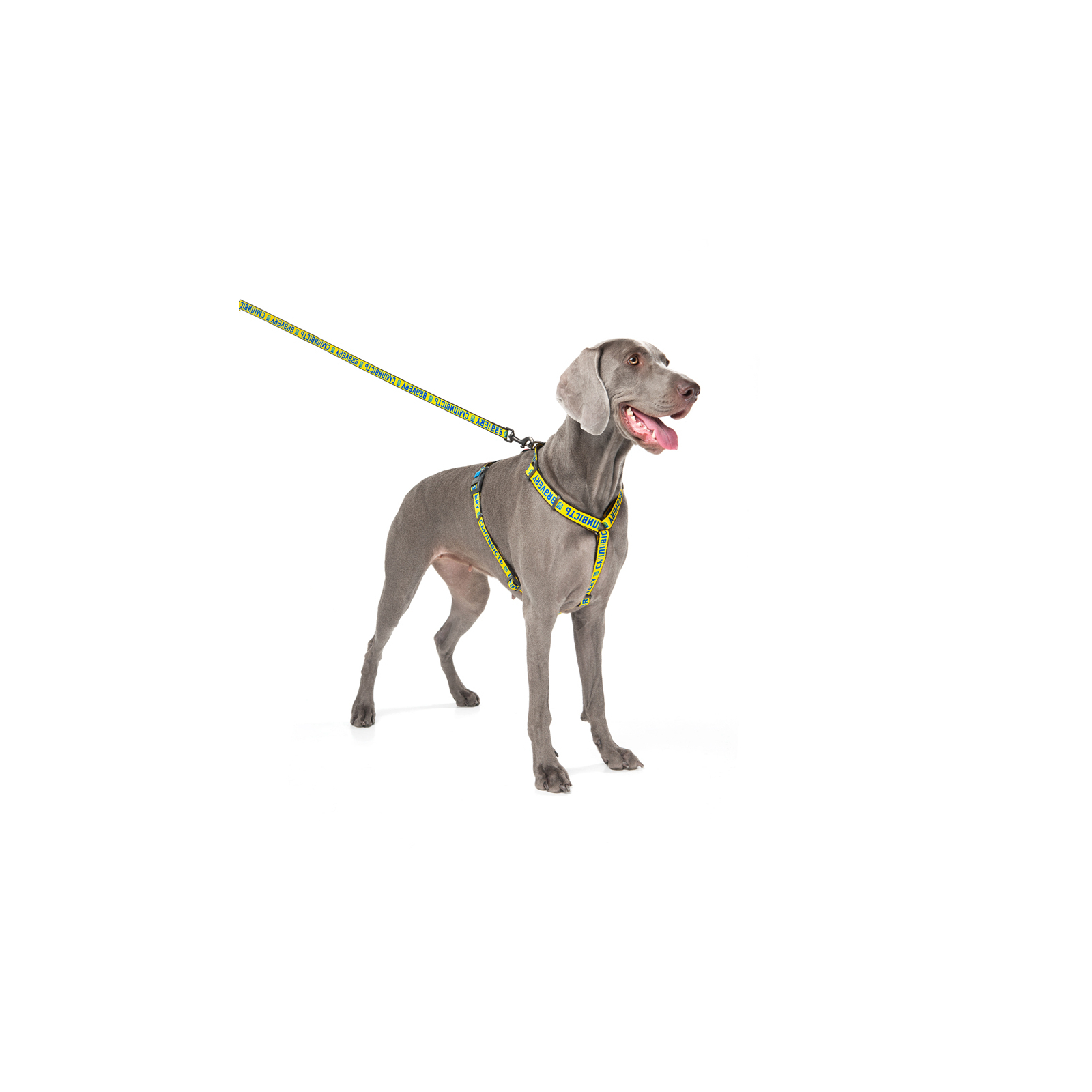 Повідок для собак WAUDOG Nylon "Сміливість" S Ш 15 мм (4915-0231) зображення 8