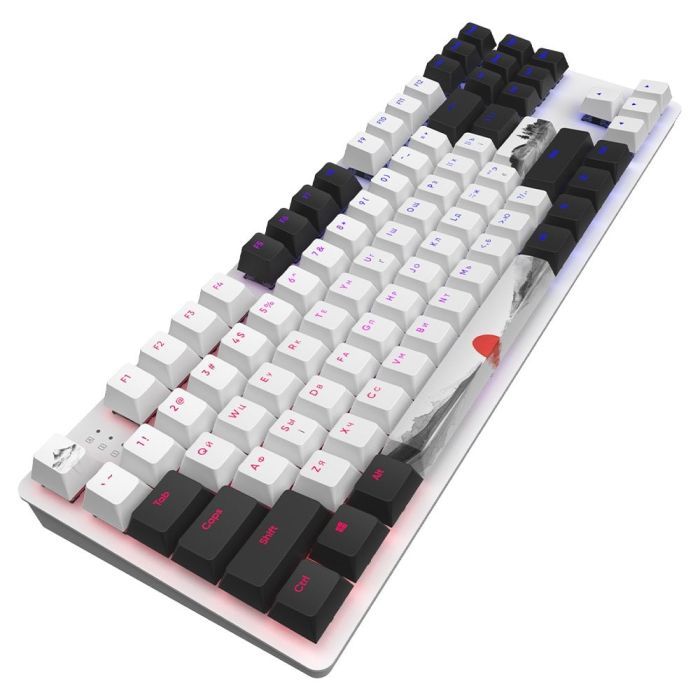 Клавіатура Dark Project One 87 Fuji ABS RGB Mech G3ms Sapphire USB Black/White (DPO87_GSH_Fuji_ANSI_UA) зображення 4