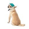 Кепка для животных Pet Fashion Rob бирюзовая ХL (4823082441419) изображение 2