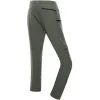Штаны Alpine Pro Nesc 2 Mns MPAE742 587 - 54 - зелений (007.022.0276) изображение 2