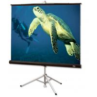 Проекционный экран Draper Diplomat Matt White 152 x 152 (213002)