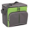 Термосумка Time Eco TE-1520 20 л Grey/Green (1520)