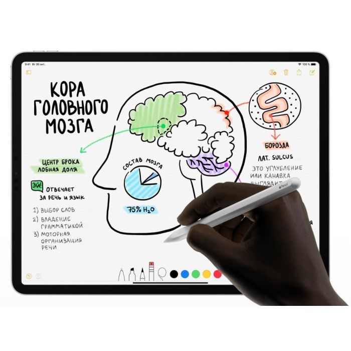 Стилус Apple Pencil (2‑го поколения) iPadPro11"/iPadPro12,9" (3-gen) (MU8F2ZM/A) зображення 2