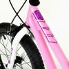 Дитячий велосипед Royal Baby Freestyle 16", Official UA, рожевий (RB16B-6-PNK) зображення 8